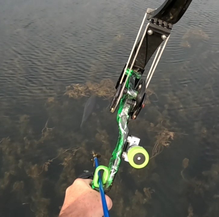 Goldline bowfishing trip